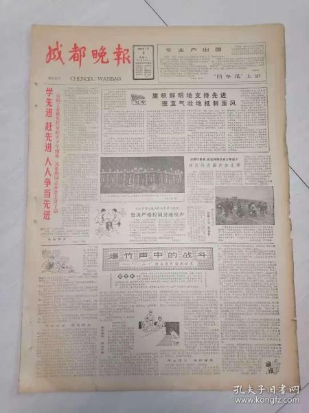 四川綜合日報 日用雜品行業的時代變遷與消費新趨勢